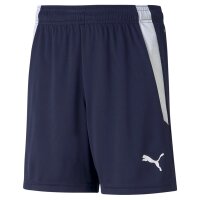 Puma teamLIGA Shorts Kinder - navy