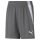 Puma teamLIGA Shorts Kinder - grau/weiß