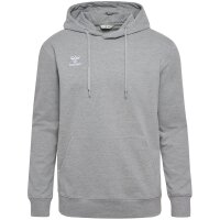 hummel GO 2.0 Hoddie Herren - grau