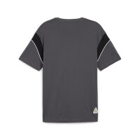 Puma BVB Ftbl Archive T-Shirt Herren - grau/schwarz/gelb