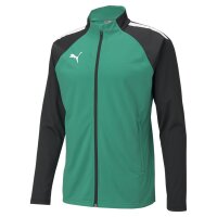 Puma teamLIGA Trainingsjacke Herren - grün/schwarz