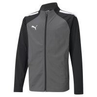 Puma teamLIGA Trainingsjacke Kinder - grau/schwarz/weiß