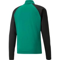 Puma teamLIGA Trainingstop Herren - gr&uuml;n/schwarz/wei&szlig;