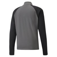 Puma teamLIGA Trainingstop Herren - grau/schwarz/wei&szlig;