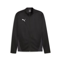 Puma teamGOAL Trainingsjacke Herren - schwarz/grau