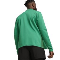 Puma teamGOAL Trainingsjacke Herren - gr&uuml;n