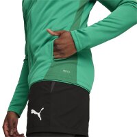 Puma teamGOAL Trainingsjacke Herren - gr&uuml;n