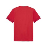 Puma teamGOAL Trikot Herren - rot