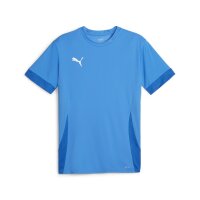 Puma teamGOAL Trikot Herren - blau