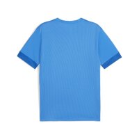 Puma teamGOAL Trikot Herren - blau