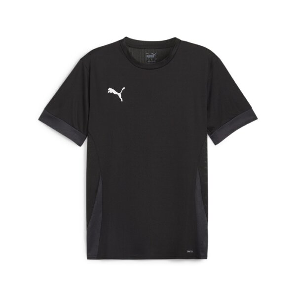 Puma teamGOAL Trikot Herren - schwarz/grau