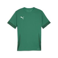 Puma teamGOAL Trikot Herren - grün