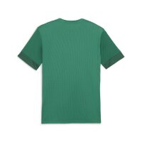 Puma teamGOAL Trikot Herren - grün