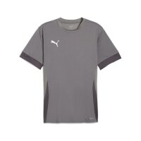 Puma teamGOAL Trikot Herren - grau