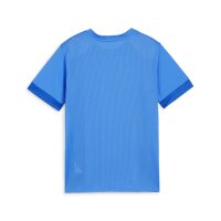 Puma teamGOAL Matchday Trikot Kinder - blau/wei&szlig;