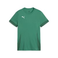 Puma teamGOAL Matchday Trikot Kinder - gr&uuml;n/wei&szlig;