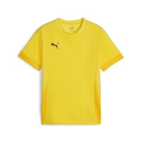 Puma teamGOAL Matchday Trikot Kinder - gelb/schwarz