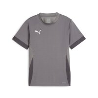 Puma teamGOAL Matchday Trikot Kinder - grau/wei&szlig;