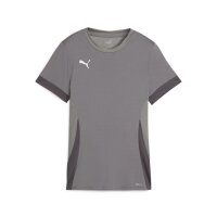 Puma teamGOAL Matchday Trikot Damen - grau/weiß