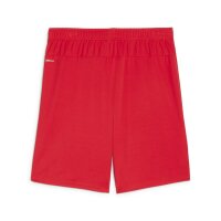 Puma teamGOAL Shorts Herren - rot