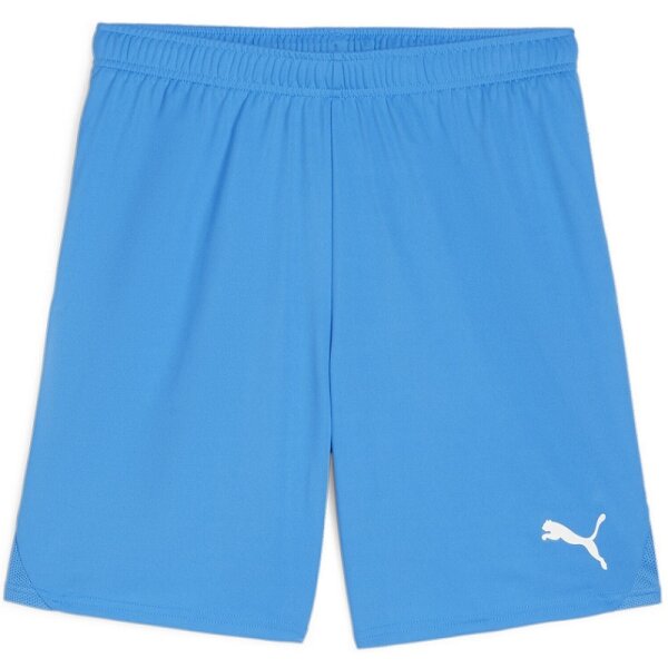 Puma teamGOAL Shorts Herren - hellblau