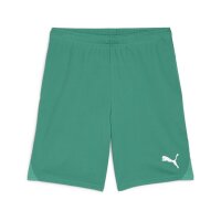 Puma teamGOAL Shorts Herren - grün