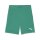 Puma teamGOAL Shorts Herren - grün