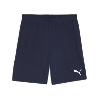 Puma teamGOAL Shorts Herren - navy