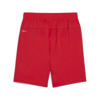 Puma teamGOAL Shorts Kinder - rot