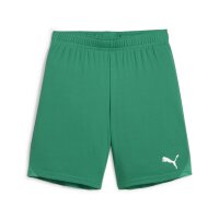 Puma teamGOAL Shorts Kinder - gr&uuml;n