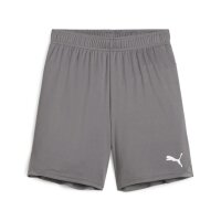 Puma teamGOAL Shorts Kinder - grau