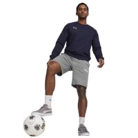 Puma teamGOAL Casuals Sweatshirt Herren - navy