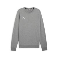 Puma teamGOAL Casuals Sweatshirt Herren - grau