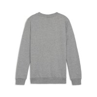 Puma teamGOAL Casuals Crew Neck Sweatshirt Kinder - grau