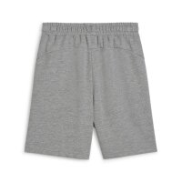 Puma teamGOAL Casual Shorts Kinder - grau