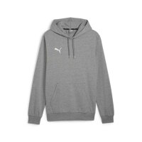 Puma teamGOAL Casuals Hoodie Herren - grau