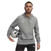 Puma teamGOAL Casuals Hoodie Herren - grau