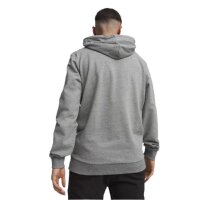 Puma teamGOAL Casuals Hoodie Herren - grau