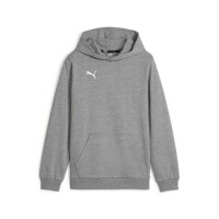 Puma teamGOAL Casuals Hoodie Kinder - grau