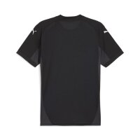 Puma teamFINAL Trikot Herren - schwarz