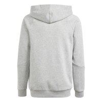 adidas Tiro 24 Sweat Hoodie Kinder - grau/weiß