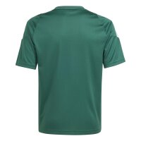 adidas Tiro 24 Trikot Kinder - dunkelgrün/weiß