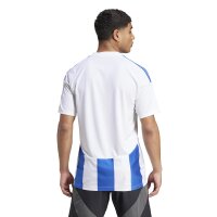 adidas Striped 24 Trikot Herren - wei&szlig;/blau