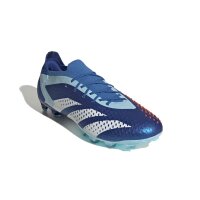 adidas Predator Accuracy.1 Low AG Herren - blau/wei&szlig;