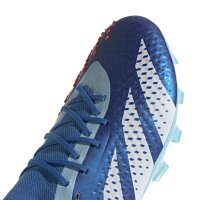 adidas Predator Accuracy.1 Low AG Herren - blau/wei&szlig;