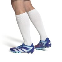 adidas Predator Accuracy.1 Low AG Herren - blau/wei&szlig;