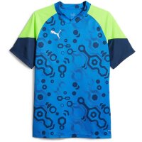 Puma individualCup Trikot Herren - blau/gr&uuml;n