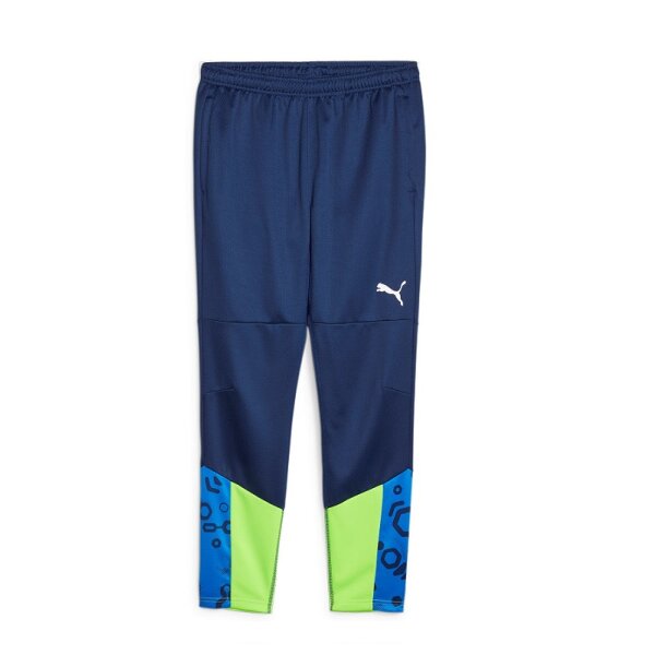 Puma individualCup Trainingshose Herren - navy/grün