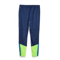 Puma individualCup Trainingshose Herren - navy/grün