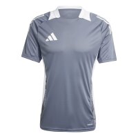 adidas Tiro 24 Competition Trainingstrikot Herren - grau/wei&szlig;